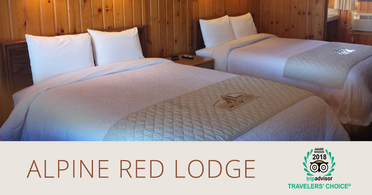 Rooms - Alpine Red Lodge